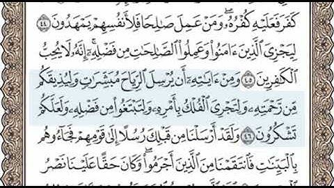 سورة الروم الصفحة 409 الشيخ محمد صديق المنشاوي