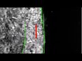A Vision Based Line Following Strategy for an Autonomous UAV
