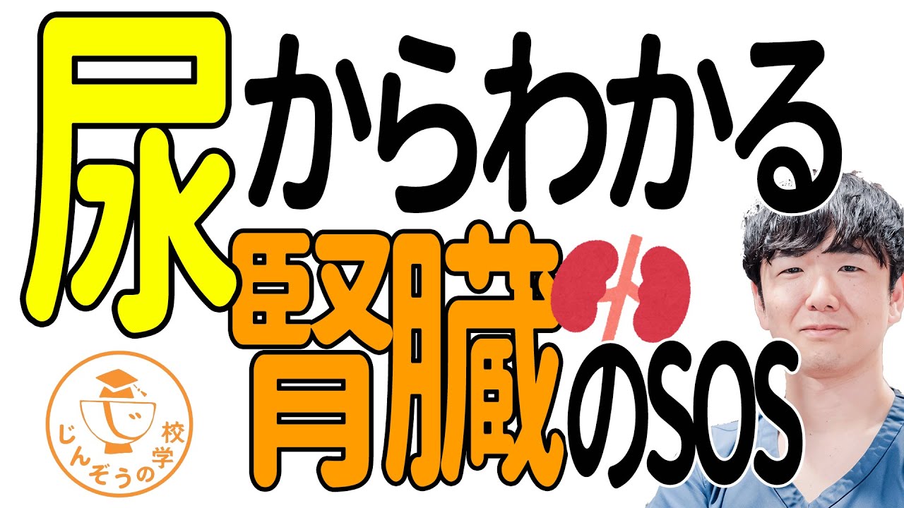 絶対に見逃してはいけない腎臓からの危険信号！腎臓病の予防クリニック院長が解説する尿からわかること