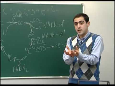 აერობული გლიკოზი