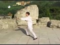 KOU-楊式太極拳85式[背面](黎慧琳)
