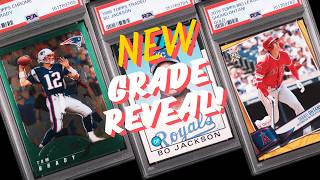 Is The PSA Shutdown & Delay a Good Thing? 20 Card Grade Reveal - Brady, Ohtani, Griffey and More!