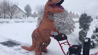 T-Rex Snow Plowing