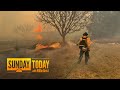 Two dead as Texas wildfire becomes largest in state history