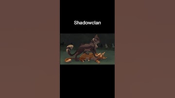What clan do you belong to? // #warriorcats #edit #shadowclan #thunderclan #windclan #riverclan