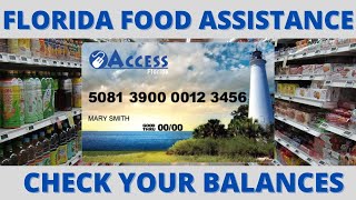 EBT SNAP & D-SNAP FOR Florida FOOD ASSISTANCE