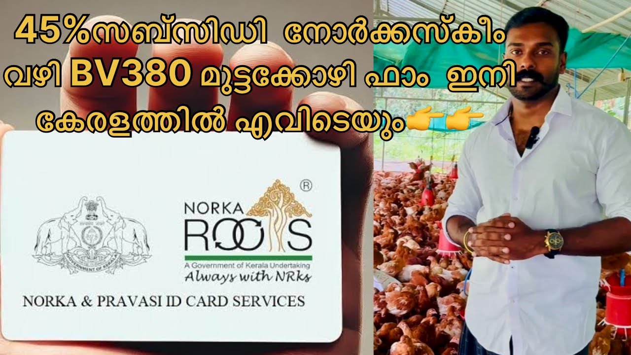 Hi-Tec രീതിയിലുള്ള ഫാം നിർമ്മാണം രോഗങ്ങൾ വരില്ല കോഴികൾക്ക് ഉൽപാദനം കൂടും 👍