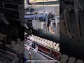 How Automated Evisceration Machine Processes Fish Into Clean Fillet Flow
