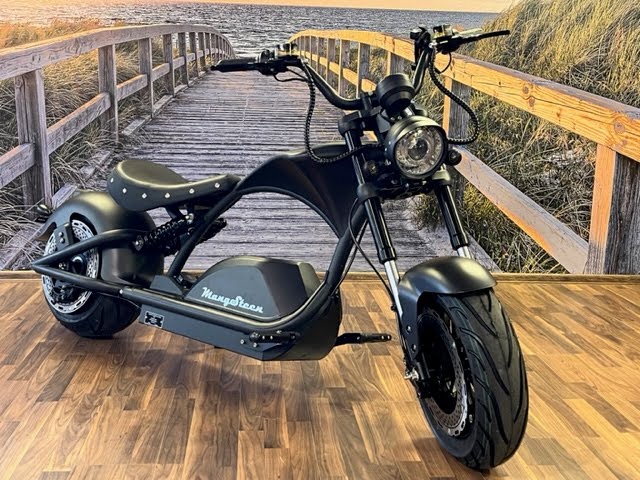 Mangosteen Wholesale Electric Chopper Motorcycle M1P - Mangosteen