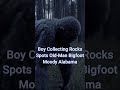 Boy spots old-man Bigfoot