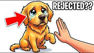 Celebrity This Behavior Proves Your Dog Doesn't Trust You Anymore Net Worth