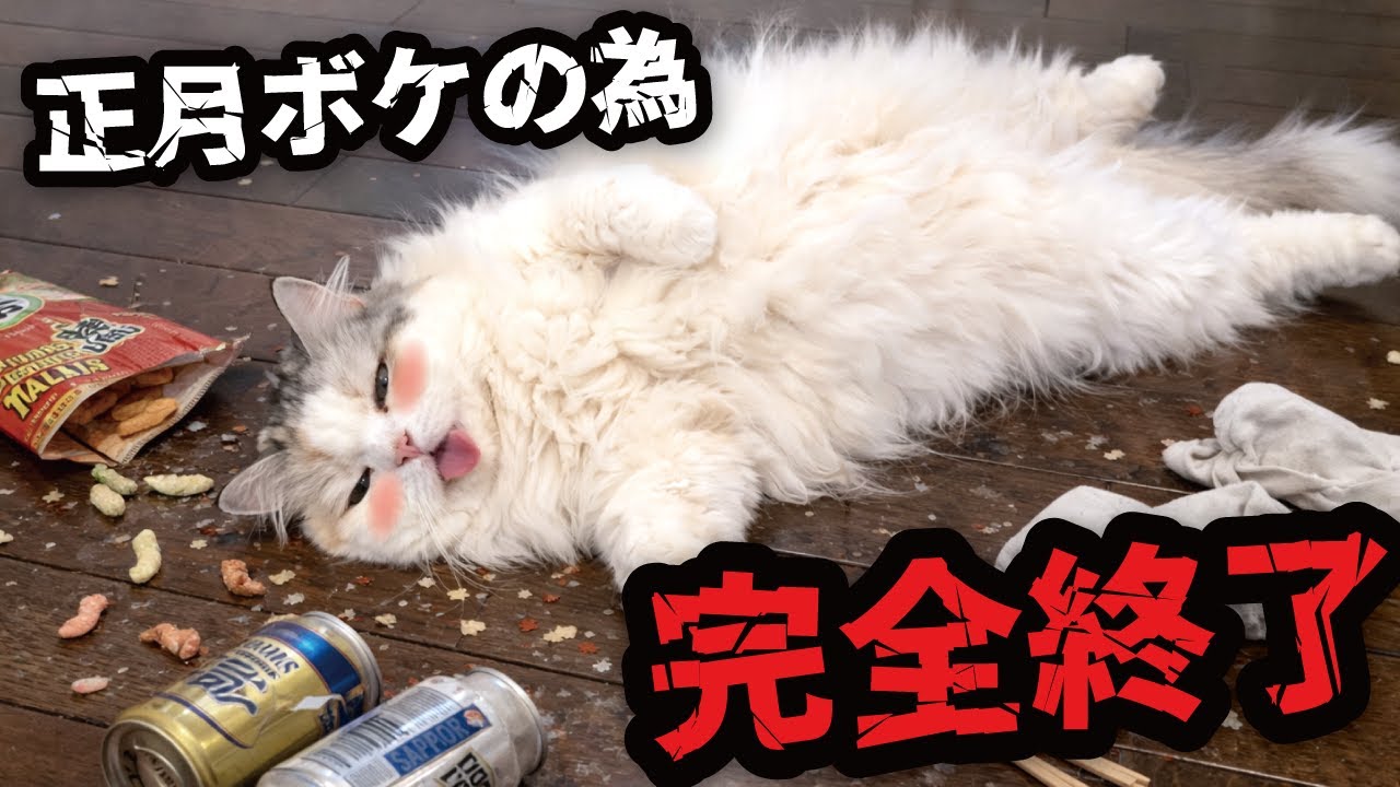 お正月　猫ちゃんの熊手 お正月 猫ちゃんの熊手 【公式通販】