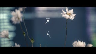 声よ - 坂東祐大 feat. 塩塚モエカ(羊文学)