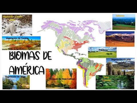 Vídeo: 13 Lugares En América Del Sur Donde Te Empequeñecerá La Naturaleza - Matador Network