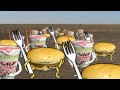 自主作成アニメーション「フードウォーズ」