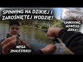 SPINNING NA DZIKIEJ I ZAROŚNIĘTEJ WODZIE! *MEGA ZNALEZISKO*