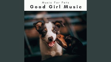 Calming Ambience for Cuddly Puppies