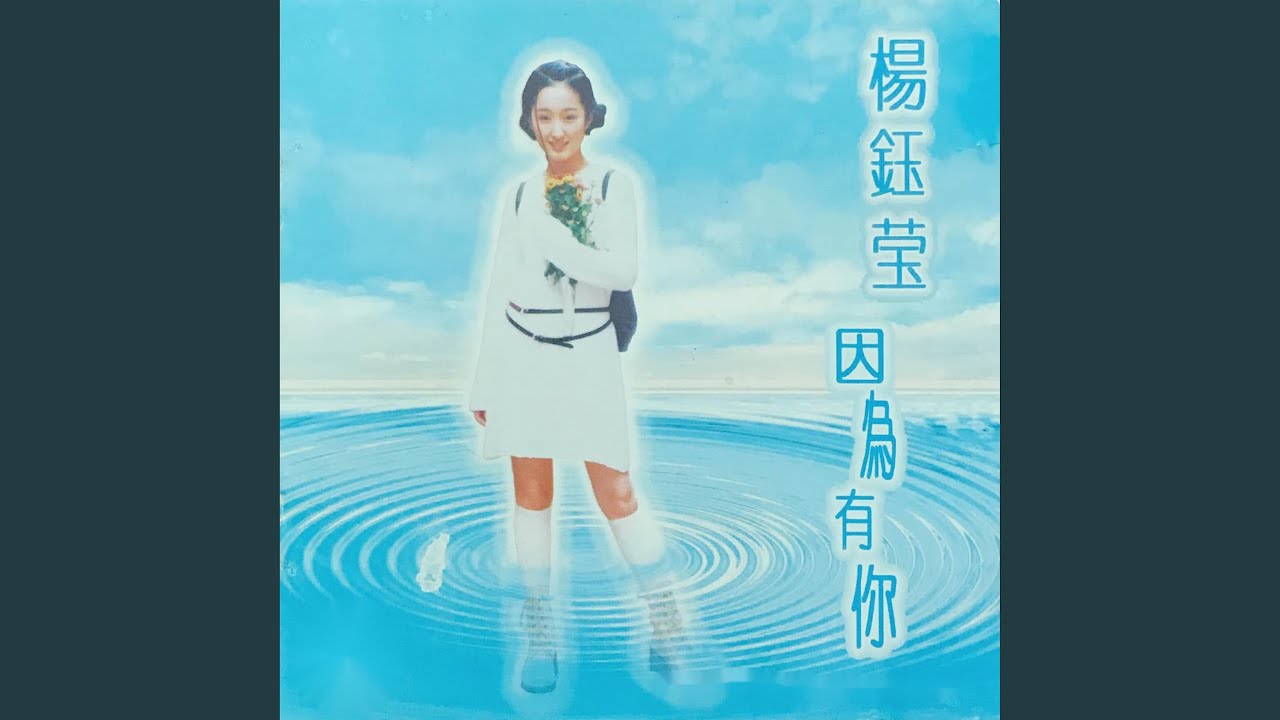 晚霞中的红蜻蜓