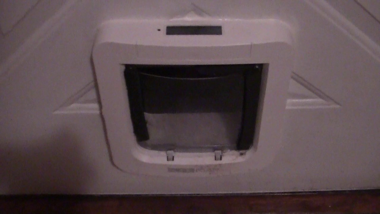 2 SUREFLAP=REVIEW MICROCHIP CAT/DOG DOOR 2017 YouTube