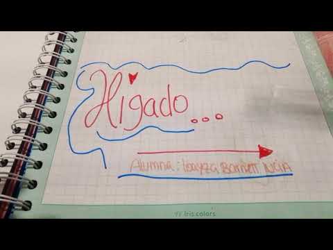 Vídeo: Avaliação Do Processo Da Resposta Dos Lares De Idosos à Implementação Do Conceito De Conferência De Caso Específico De Demência WELCOME-IdA: Um Estudo Qualitativo