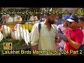 Lalukhet exotic birds market part 2 karachi 12524         