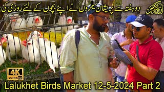 Lalukhet Exotic Birds Market Part 2 Karachi 12-5-24 | ایشیا کی سب سےبڑی نایاب پرندوں کی مارکیٹ