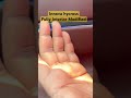 Innova hycross full modified #innovahycross #shorts #youtubeshorts #trendingshorts #ytshorts #viral