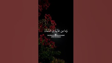 (وإنَّ ربُّكَ لَيعلَمُ ماتُكِنُّ صُدورُهُم)قرآن كريم بصوت إسلام صبحي_حالات واتس أب قرآن بصوت مؤثر.