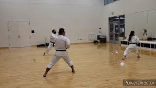 U of M Shotokan Karate Club Oct 16 2020 asynchronous training screenshot 2