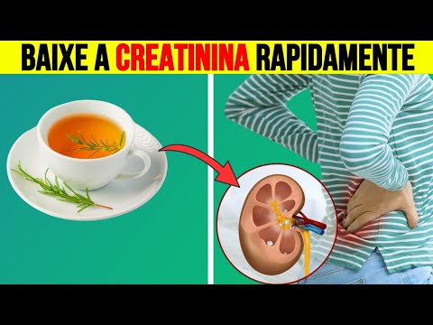 BEBA AGORA! 3 Chás de Limpeza Renal para Baixar os Níveis de Creatinina ...