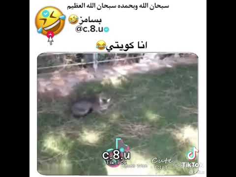 انا كويتي مش لبناني