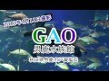 男鹿水族館GAOとはこんな水族館でした。 の動画、YouTube動画。