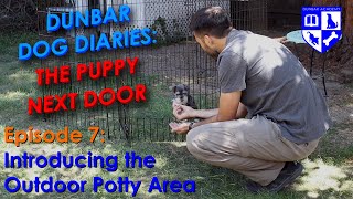 The Puppy Next Door - Introduction To The Outdoor Potty Pen