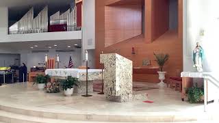St. Thomas More Church 10 am Mass. 11th Sunday in Ordinary Time