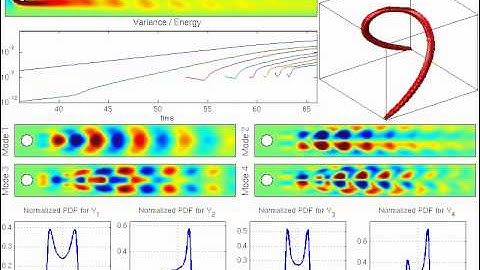 Uncertainty quantification in the flow behind a circular disk using the DO equations