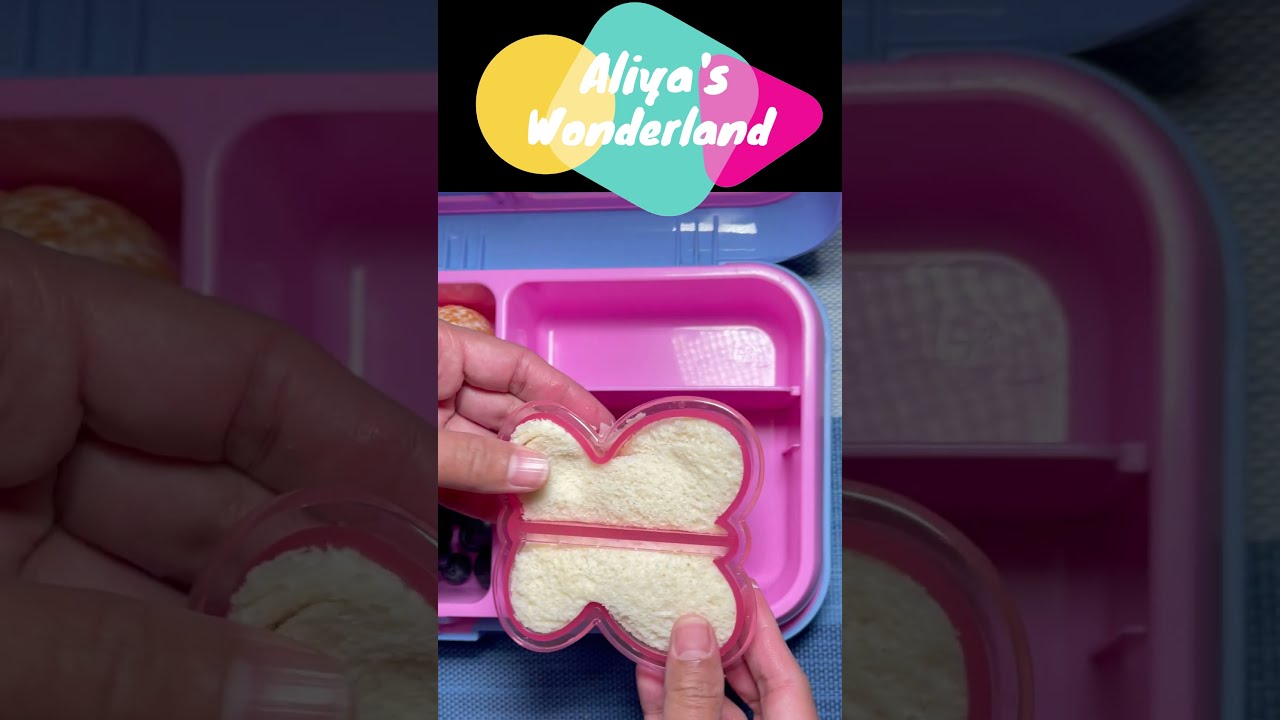 The Best Lunchboxes For Kids To Pack Their School Lunch Shorts Video Shortvideos