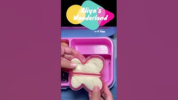 The best lunchboxes for kids to pack for their school lunch #shorts #shorts_video #shortvideos