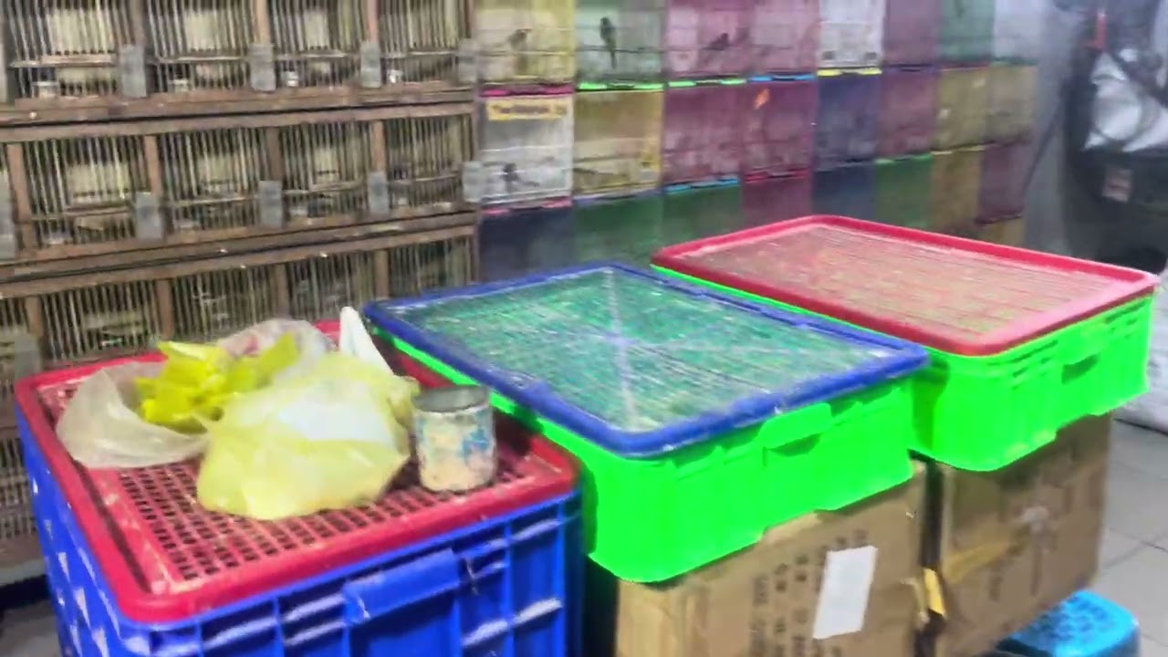 20/2 Về than đẹp.các loại.ae lh 0909457845) Đc36 phường 15 Tân Bình 