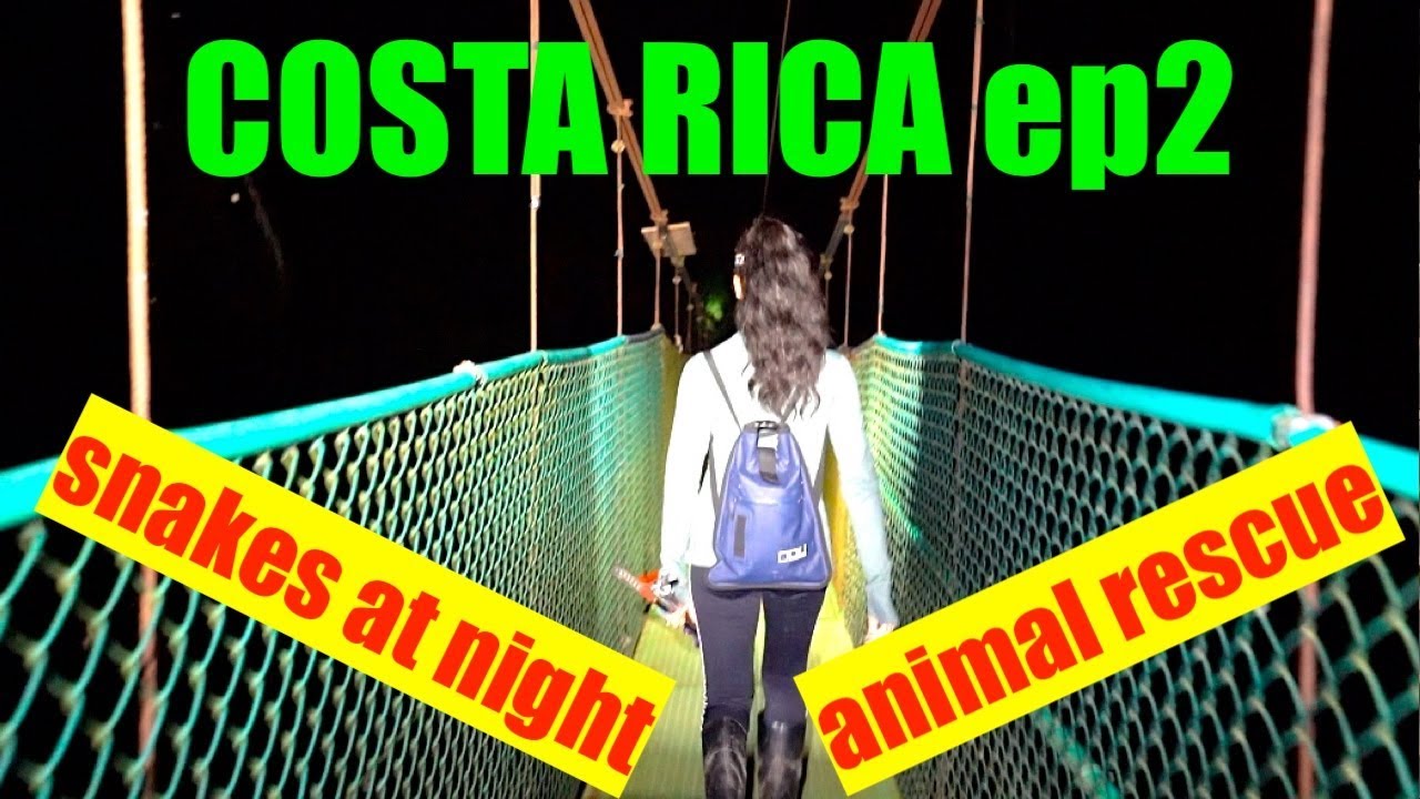 COSTA RICA | RESCUE CENTER | EP. 2 - YouTube