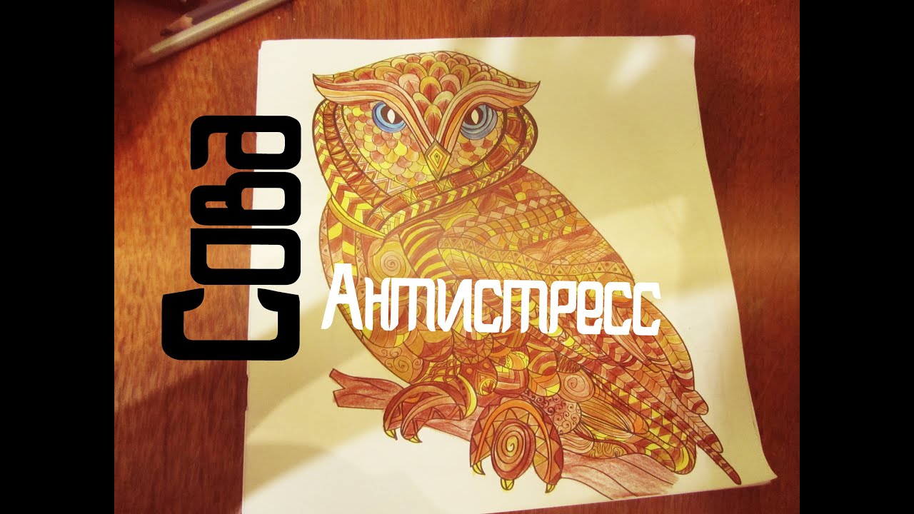 сова антистресс картинки