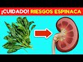 ESPINACAS: BENEFICIOS Y RIESGOS QUE DEBES CONOCER ❌✅