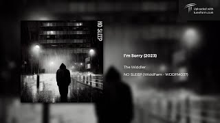 The Widdler - I&#39;m Sorry (2023) | Future Garage