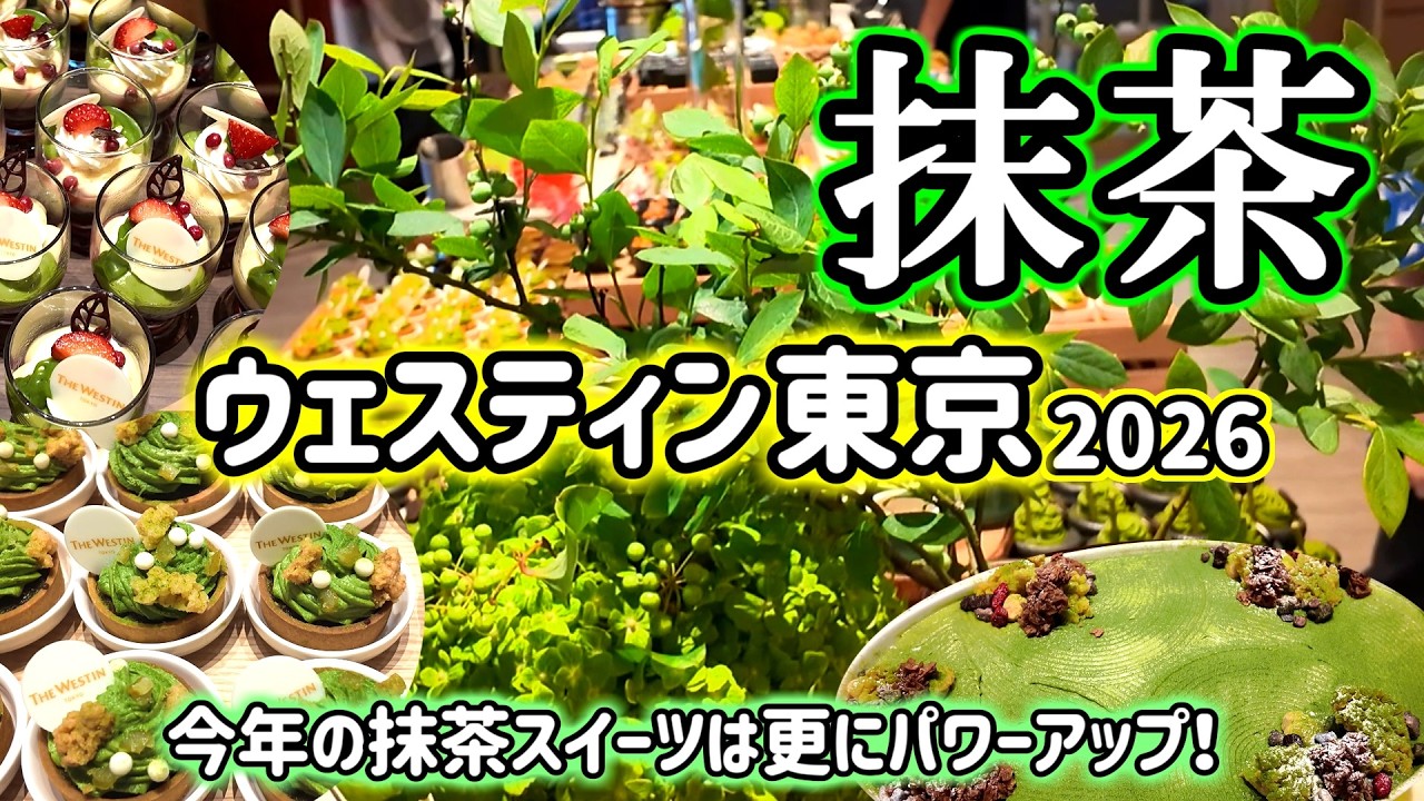 【食べ放題】初夏に行きたい抹茶デザート食べ放題!抹茶尽くしの贅沢時間をご一緒に!