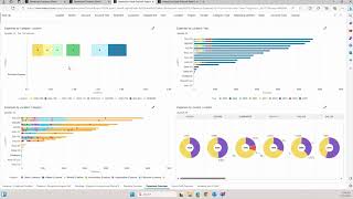 Sage Intacct Interactive Visual Explorer for Restaurant Groups