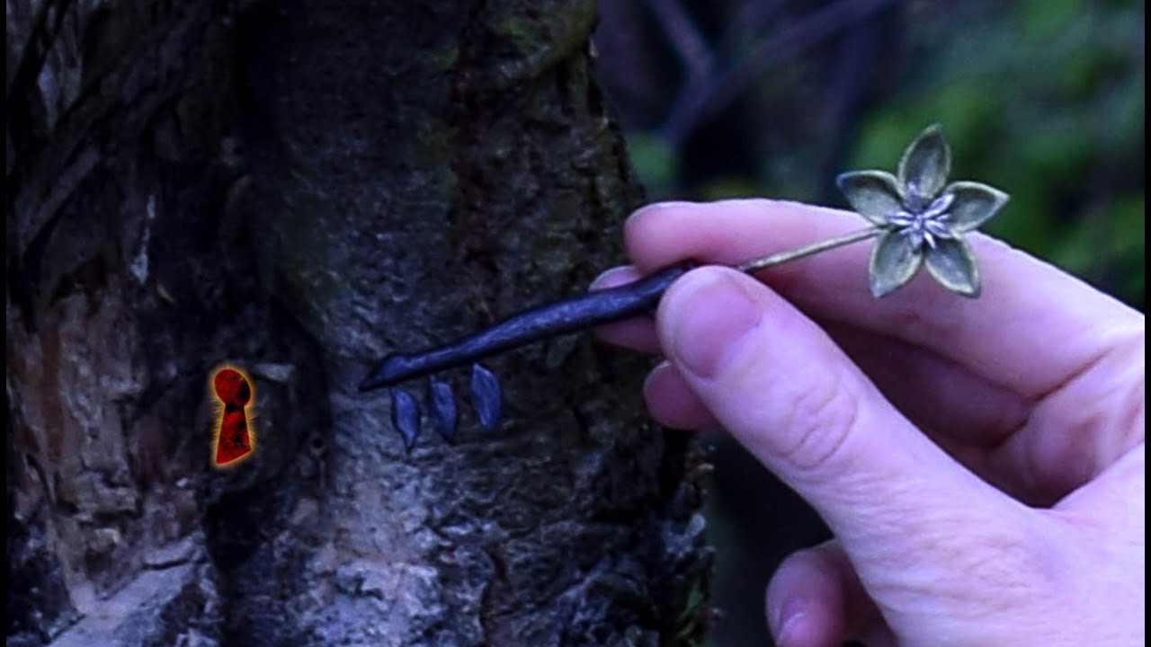 Plant Key Locke & Key Klucz roślinny Tutorial DIY 5 YouTube