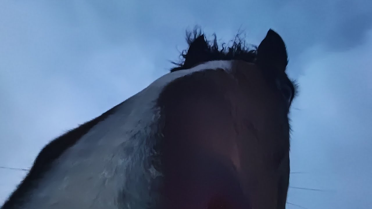 Это мой первый влог,  так что не судите строго      