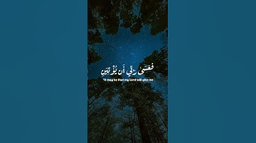 اكتب شيء تؤجر عليه 🩷🩶 #تلاوات #تلاوة_خاشعة #راحة_نفسية #قران_كريم #قرآن #قران #سورة_الكهف #تلاوة 🩵💙🤍