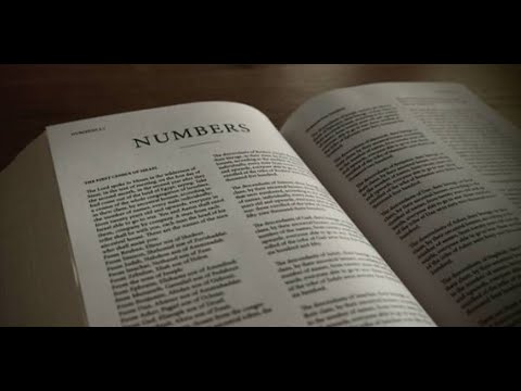 Season 2023 Episode 24 Numbers 23