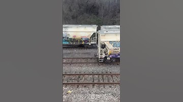 The Bay Ridge Branch Freight. This is where the Interborough Express will be constructed. #NYCSubway