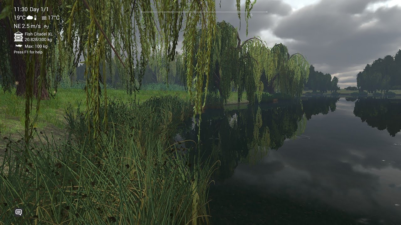 Fishing Level 50, New Uk Lake Weeping Willow , Carp Fishing